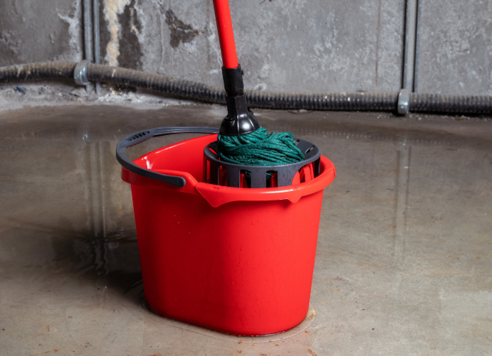 Estate Basement Cleanouts