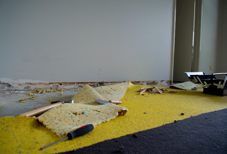 Eco-Friendly Carpet Disposal