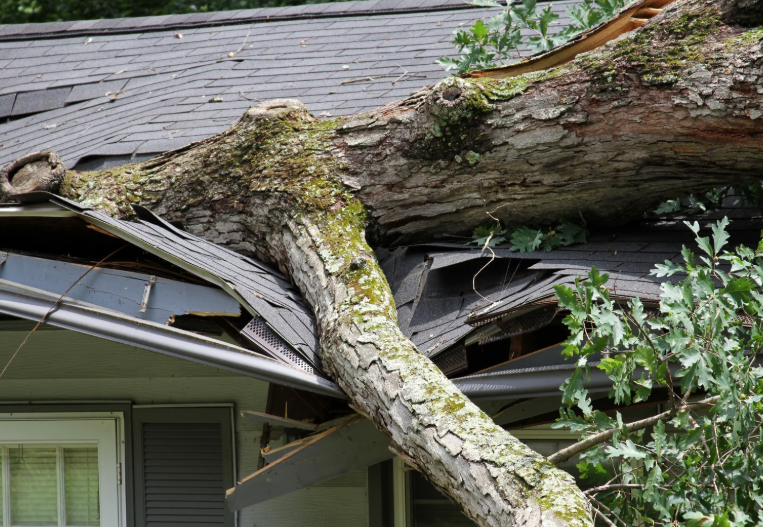 Emergency Storm Damage Roofing Cleanup